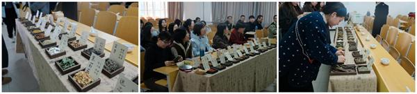 35460dcfc33640579b713c8c2aa4924c.jpeg image6.jpeg