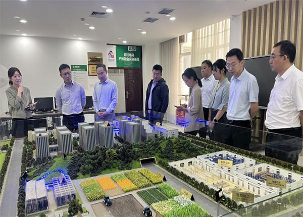 ca3d196d448a48fc8ae2710166ceb678.jpg weff4.jpg